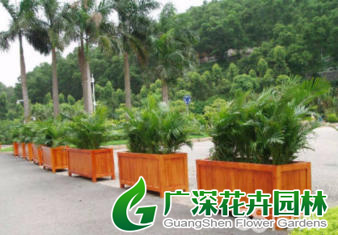 ����ֲ��