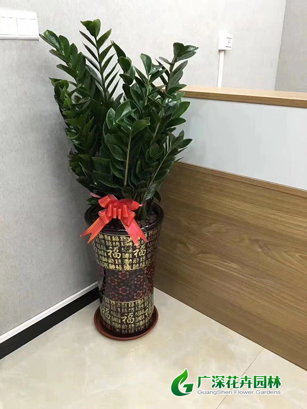 ����ֲ��